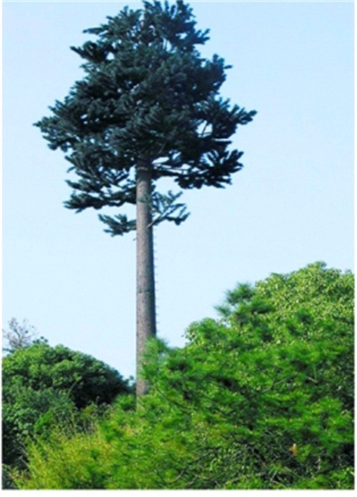 景区仿生树塔