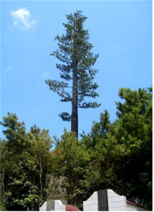 30米仿生树通信塔